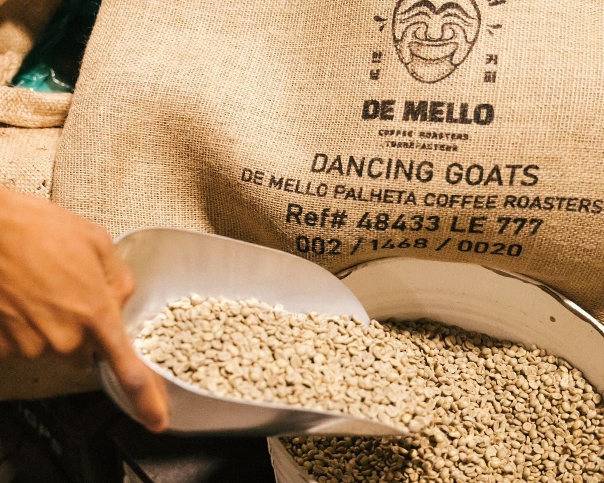 Close-up of green coffee beans and a De Mello sack, a visual for the blog on our purchasing philosophy and ethical sourcing.