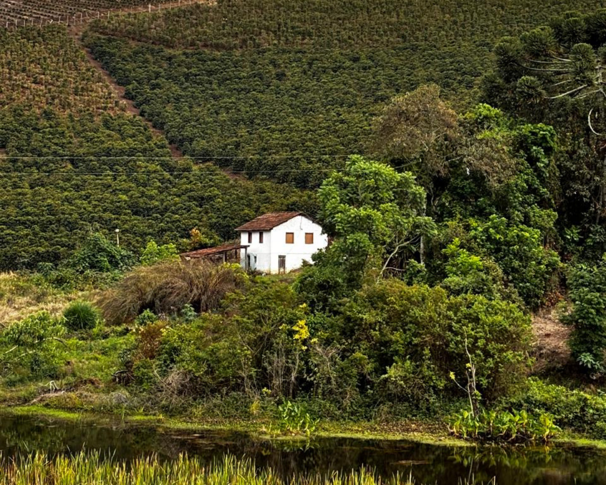 THE REAL STORY: WHAT'S ACTUALLY IN YOUR DANCING GOATS (1/5)