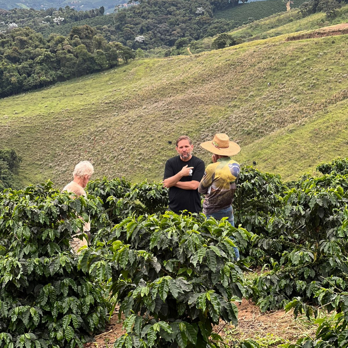 OLD WAYS. STILL WORK.: THE VILLAGE BEHIND YOUR CUP